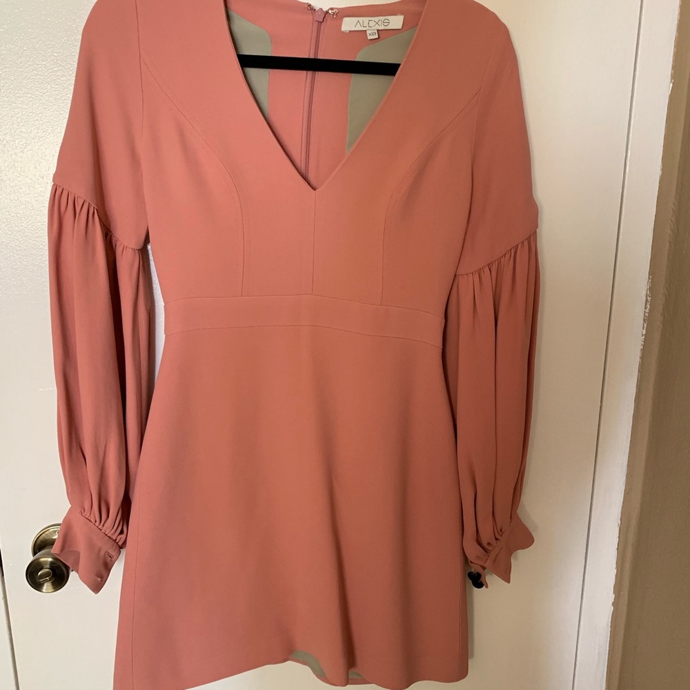 Alexis dress